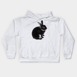 Dark Brown and White Mini Rex Rabbit Kids Hoodie